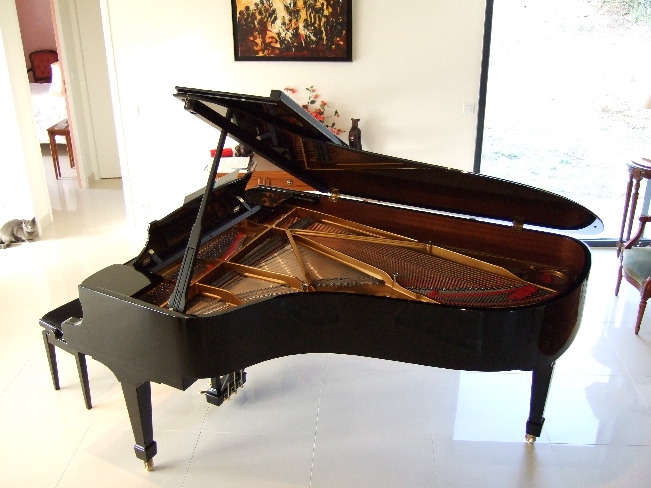 steinway vue dessus.jpg