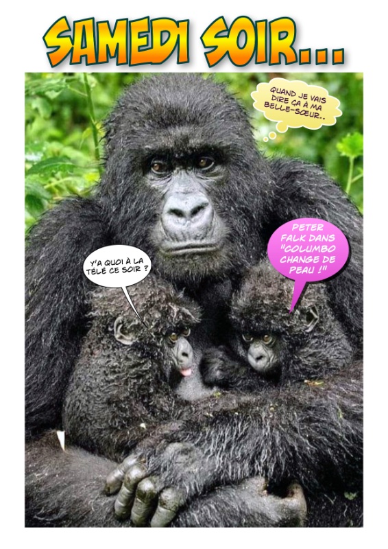Comic Singe_columbo.jpg
