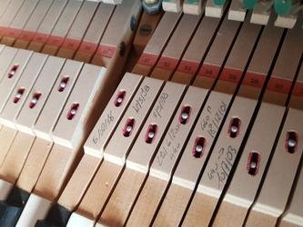 Vue intérieure 1.jpg