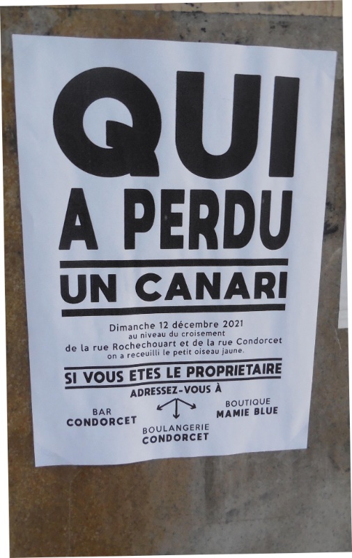 qui_a_perdu_canari.jpg