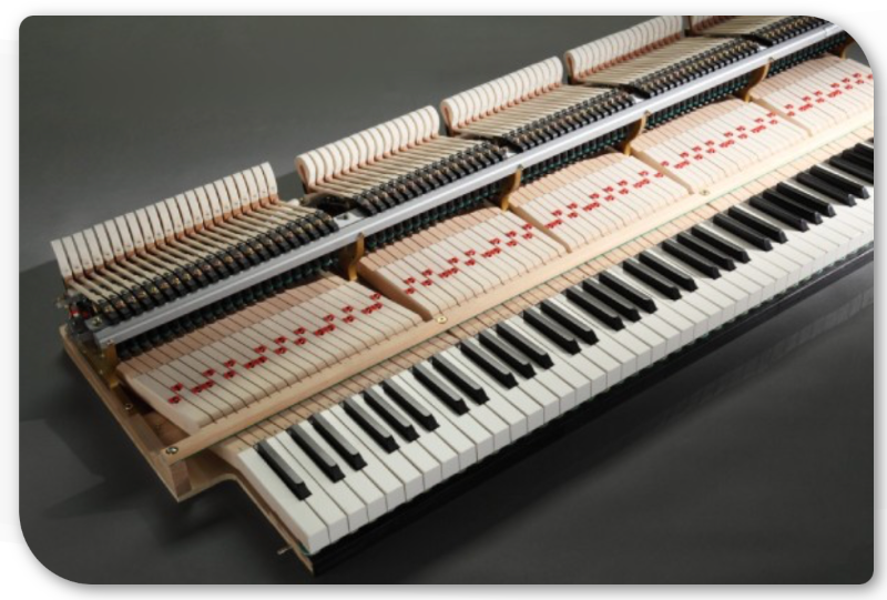 Capture d’écran 2024-07-01 à 21.36.09.png