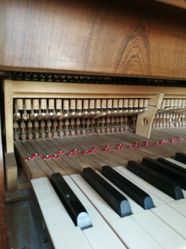 WhatsApp Image 2024-07-02 à 16.31.21_ee8430ee.jpg