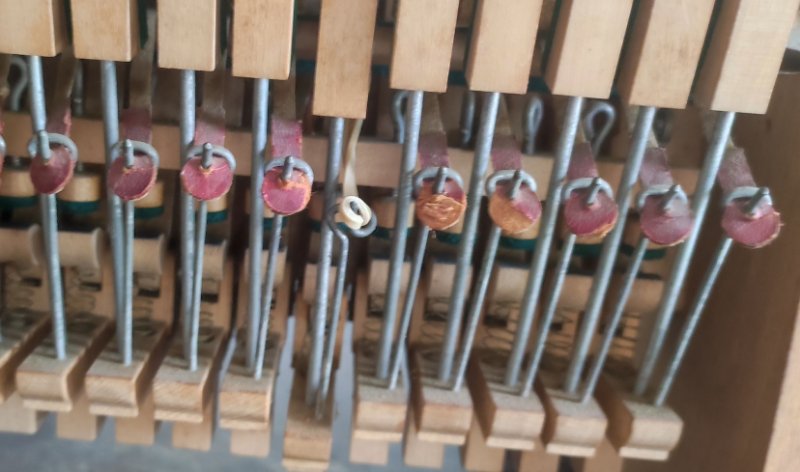 queues de cochon.jpg