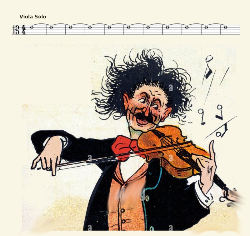 viola.jpg
