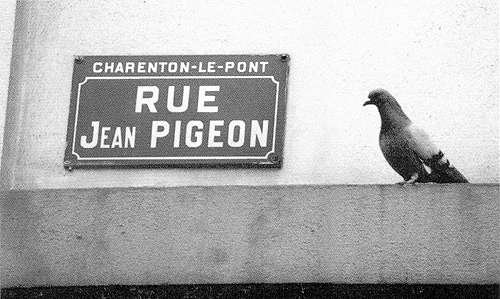 Rue Jean Pigeon.jpg