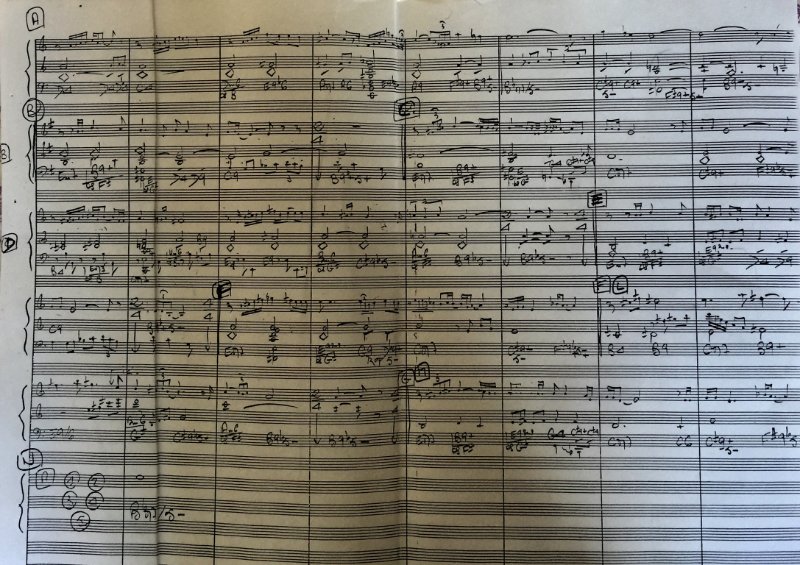 Conducteur Black and Blue.jpeg