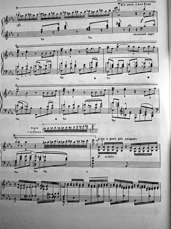 Liszt_Sonnambula S393.jpg