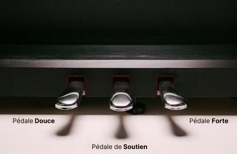 Pédales du piano.png