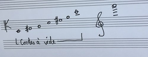 tessiture viole d'amour.jpg