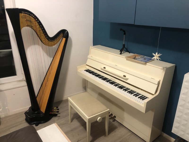 PIAno harpe.jpeg