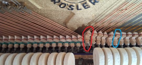 afbe1fc0-fe7b-11ef-9ef8-f95442324c3f modif.jpg