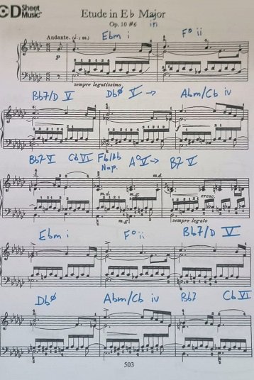 WhatsApp Image 2025-05-03 at 11.09.37.jpeg