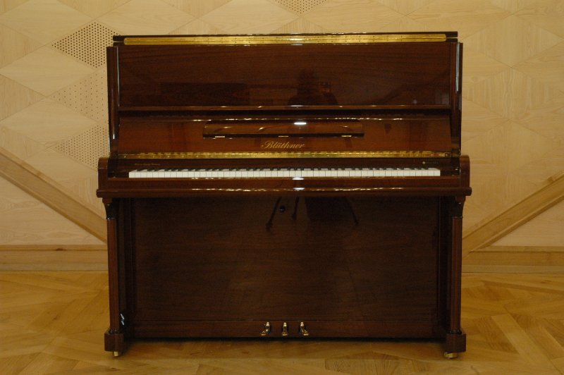 bluthner-pianod18.jpeg