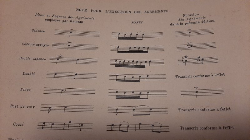 Ornements Rameau 1.jpg