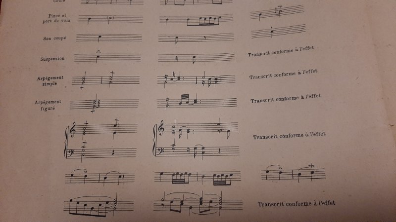 Ornements Rameau 2.jpg