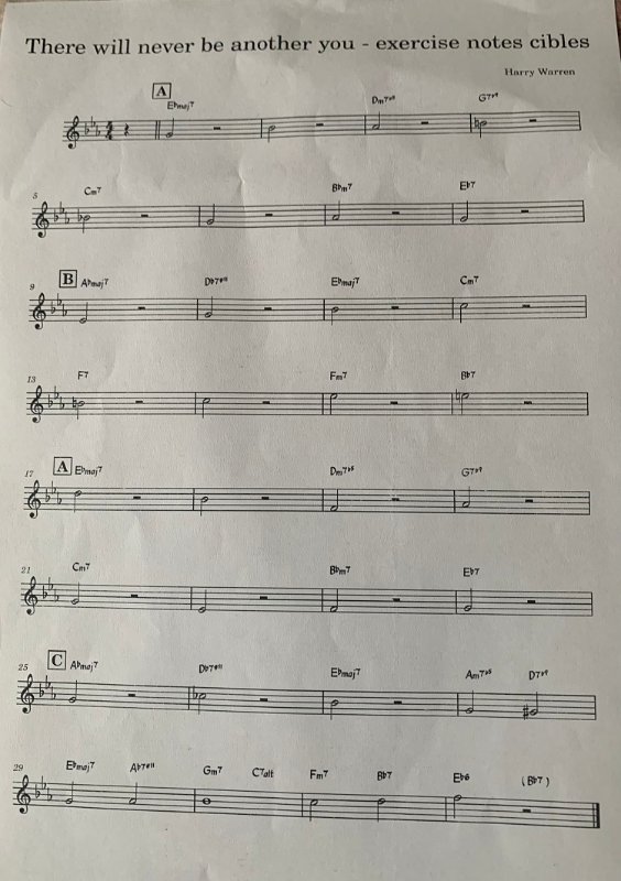 There will never be - notes cibles.jpeg