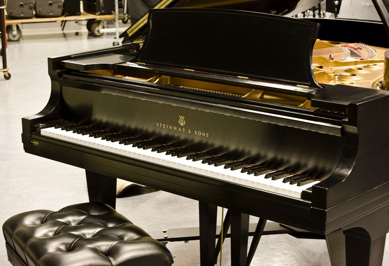 Oreilles carrées.jpg