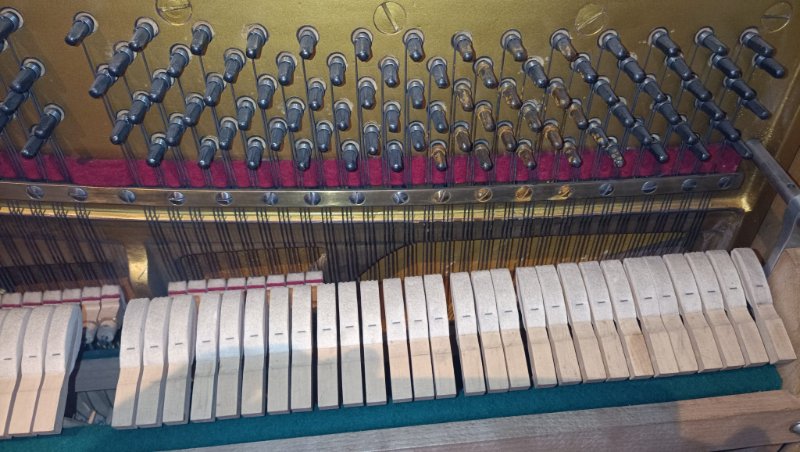 WhatsApp Image 2025-11-04 at 20.58.49.jpeg