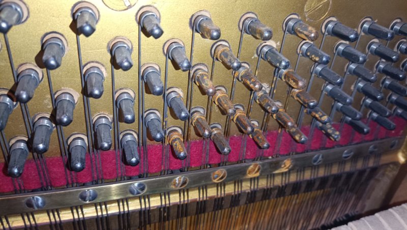 WhatsApp Image 2025-11-04 at 20.58.50.jpeg