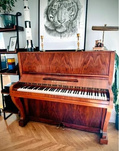 WhatsApp Image 2025-11-01 at 11.03.16.jpeg