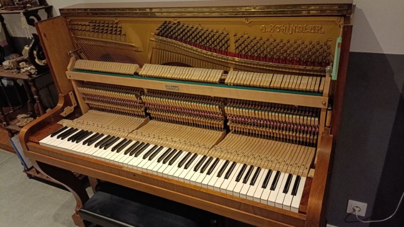 WhatsApp Image 2025-11-03 at 19.36.02.jpeg