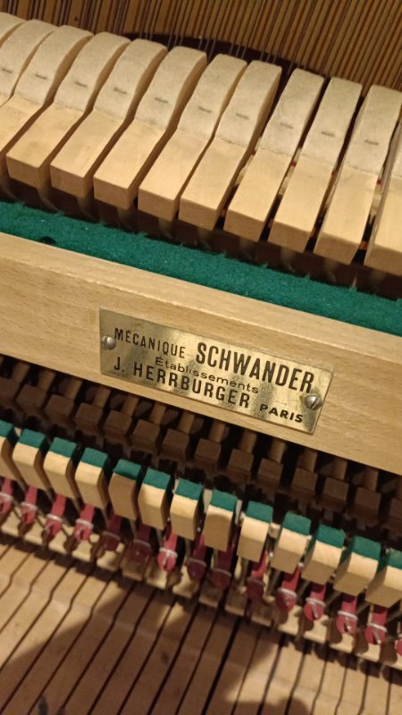 WhatsApp Image 2025-11-03 at 19.36.26.jpeg