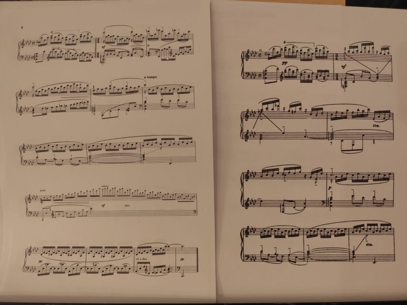 WhatsApp Image 2026-01-11 at 19.53.05.jpeg