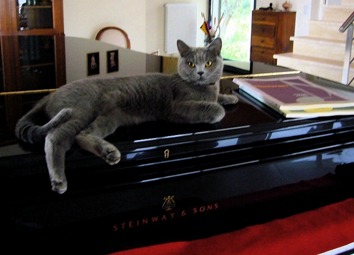 photo richard003.jpg