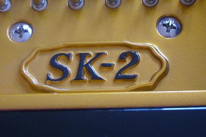 SK2.JPG