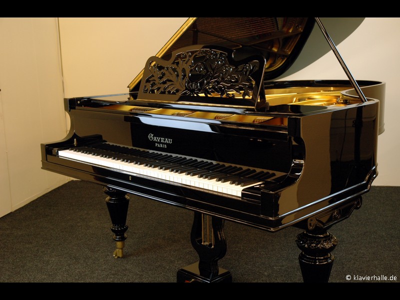 fluegel_gaveau_235_70478154_800_02.jpg