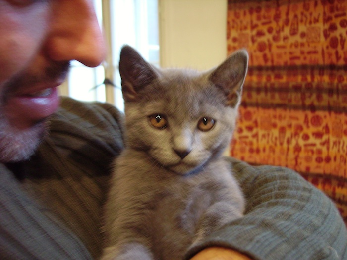 Arrivée de Léon 004.jpg