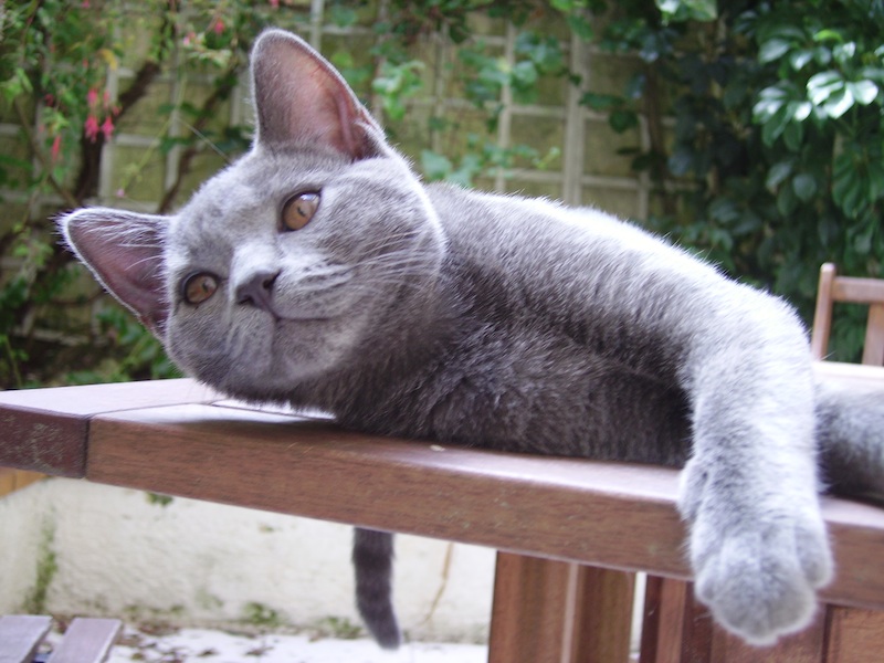 Léon 4 mois 235.jpg