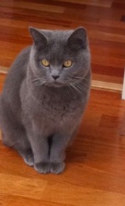 Photo Richard_01.jpg