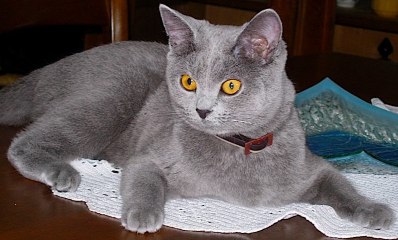 Photo Richard_05.jpg