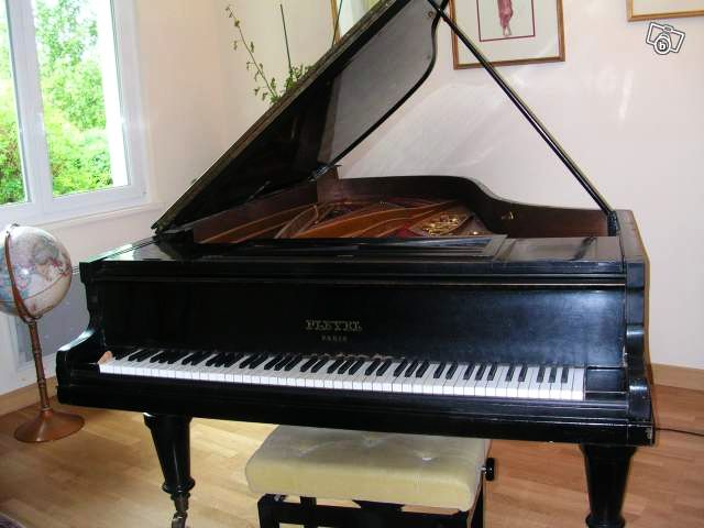 Pleyel.jpg2.jpg
