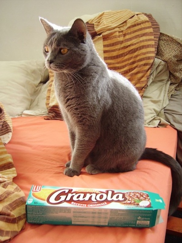 Léon est un porcinet.JPG