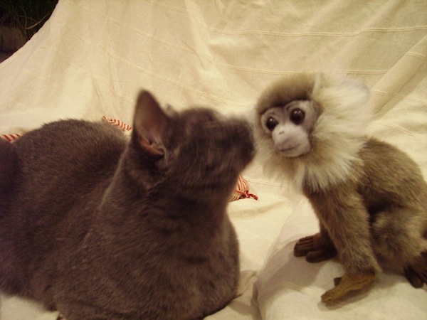 Léon a un nouveau copain.jpg