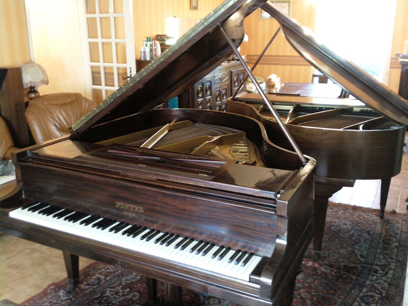 Photo0028 - Copie.jpg