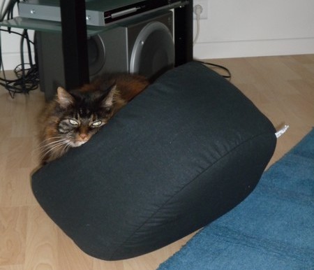 Non non, je n'aime pas les poufs...