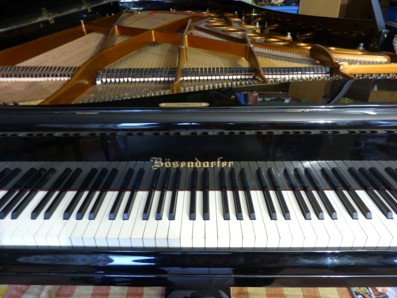 L'imperial  avec sa table immense et son clavier en ivoire de 8500ans. Incroyable!!