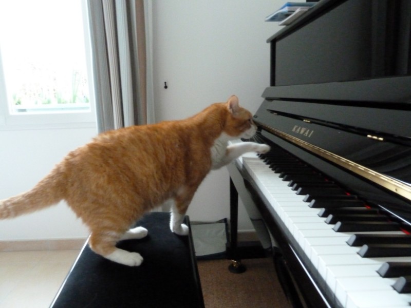 P1000389 [HDTV (720)].JPG