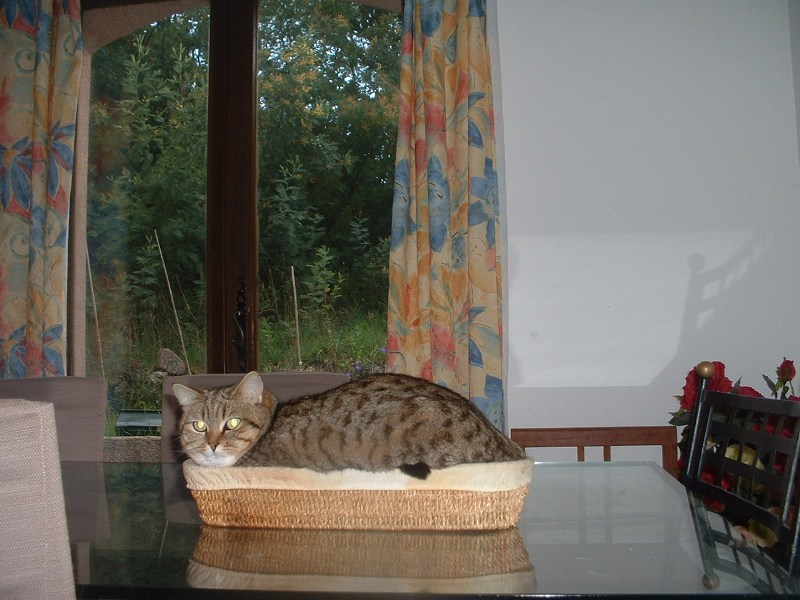 faut pas se gêner, merci pour les poils sur les tartines