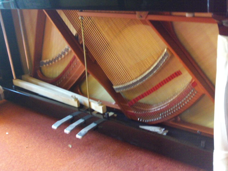 pédales bois du FEURICH