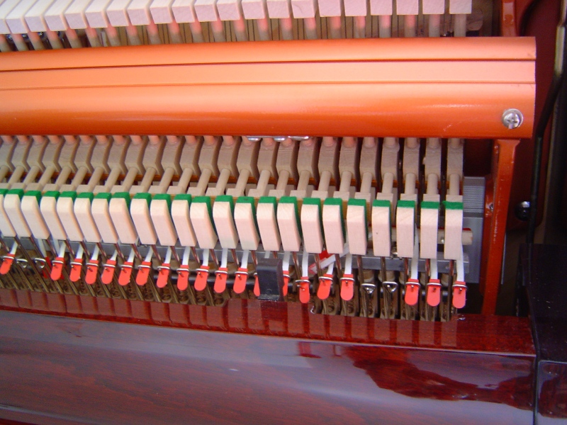 cache-cache de lanières !