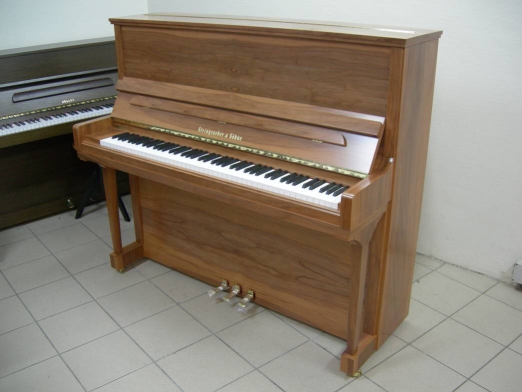 steingraeber 130K pommier massif.jpg