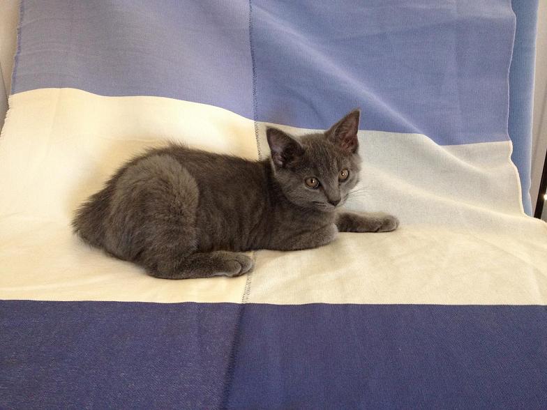 2012_ 8_20_18_34.jpg