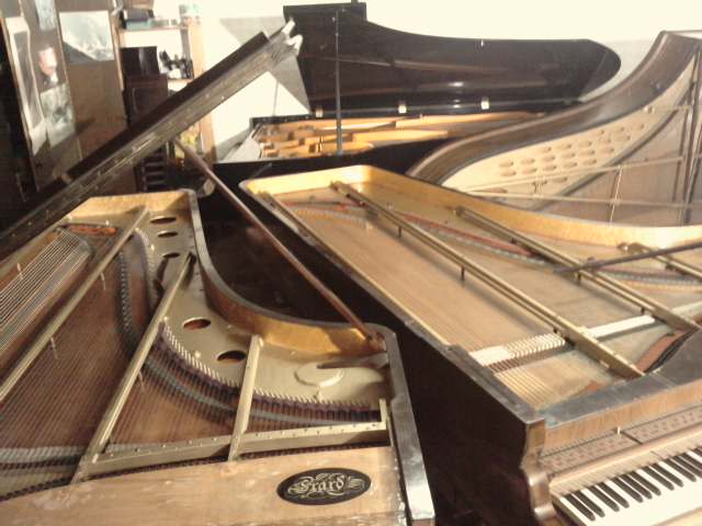 en arriere plan , le bosen , et les deux erards .. oui j'en ai un nouveau  . de 1921 touches plus longues.