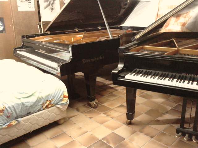 observez bien attentivement .  le bosendorfer