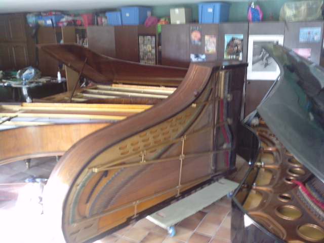 le bosen sur la droite , le pleyel257   de 1866 encore sur le chariot  , l'erard260 de 1911 grande touches (90)  derriere son clone de 1893 et le seiler 206 au fond l'extreme gauche. et mon lit entre les deux. lol