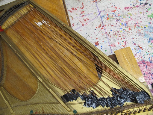 cordes positionnées vue d'ensemble.jpg